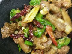 -陇菜和盛祥(金轮宾馆店)