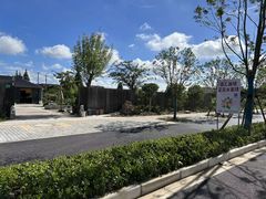 -南汇新场正宗水蜜桃采摘