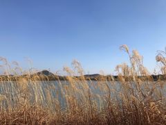 -羊山湖公园