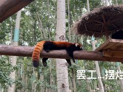 -北京野生动物园