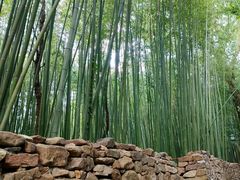 -竹泉村旅游度假区