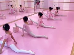 -桃子公主舞蹈培训(万柳校区)