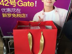 -乐天免税店(仁川国际机场店)