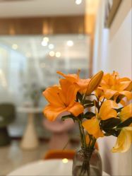 -FUMEIHUI·科技美肤·美体SPA