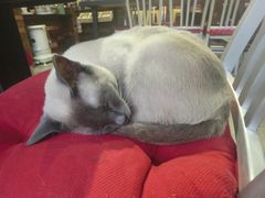 -MIKAKU(万达广场上海宝山店)