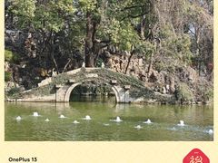 -绮园景区
