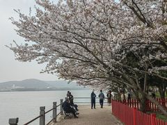 -无锡蠡湖国家湿地公园-蠡园