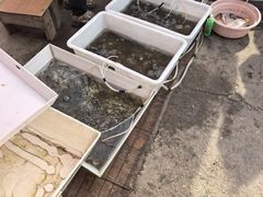 -团泊镇示范集贸市场