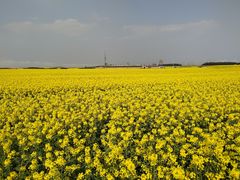 -罗平振兴老店砂锅饭(文笔路店)