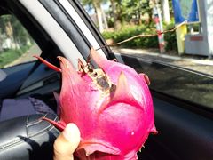 -硇洲岛旅游区