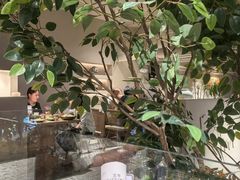 -KimPro 辛普乐概念韩餐