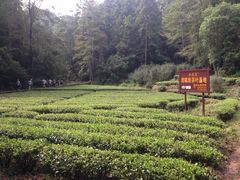 -武夷山风景名胜区-虎啸岩
