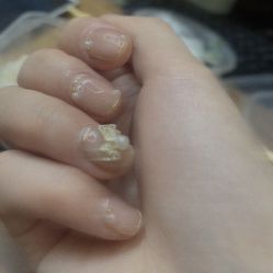 -柚子•猫美睫美甲