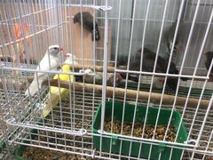 -三旗百汇商品城