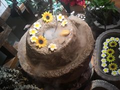 -域SPA·足疗·按摩·养生(静安寺店)