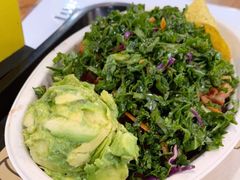 -油梨树 AVOCADO TREE(亮马桥店)