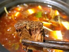 耙牛肉小锅-茯菟菟fu tu tu耙牛肉(龙湖源著店)