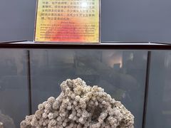 -游龙石文化科普馆