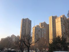 -沈阳于洪碧桂园凤凰酒店