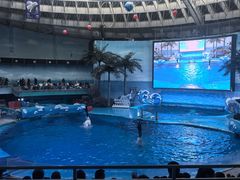 -海合安成都极地海洋公园