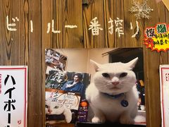 -坂吉屋·居酒屋深夜食堂(龙湖店)