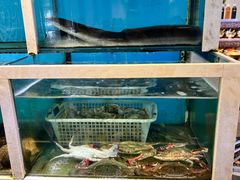 -泰白海鲜烧烤大全