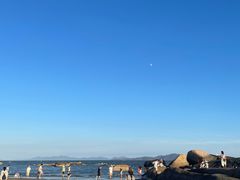 -那琴半岛地质海洋公园