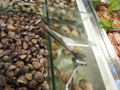 -海吃海喝海鲜烤肉餐厅