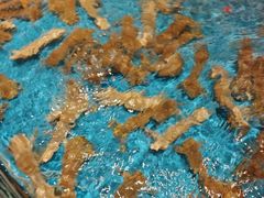 -百富源·海鲜辽菜(和平北大街店)