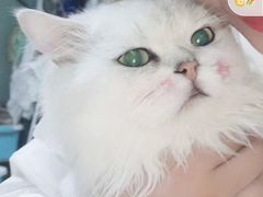 -大洋晶典(东街店)