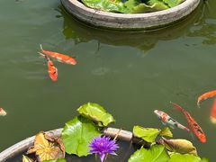 -石峰岩寺