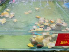 -大茄来海鲜餐厅(亚洲城分行)