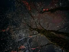 -黎阳老街