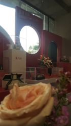 -云南吴氏嘉美医疗美容医院