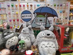 -猫的天空之城概念书店(苏州平江店)