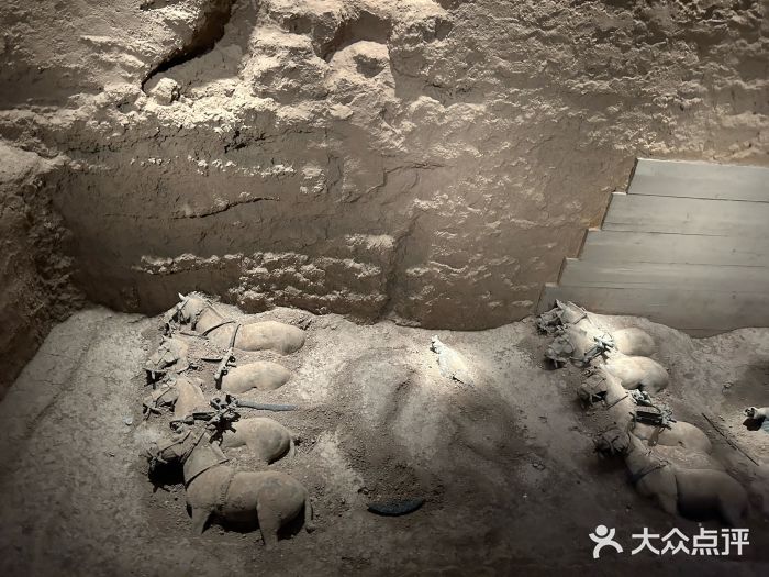 秦始皇帝陵博物院-丽山园图片