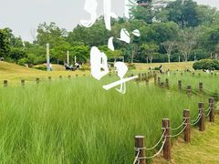 -红花山公园