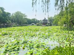 -莲池书院博物馆