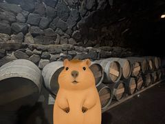 -文成城堡