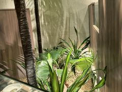 -大头椰·椰子鸡火锅(南宁万象城店)