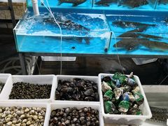 -鑫朱雀农贸批发市场