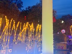 -龙巢盱眙龙虾·鸡煲·烧烤宵夜(坪洲店)