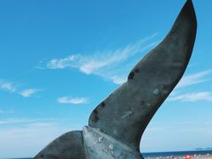 -烟台金沙滩海滨公园