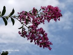 -水濂山森林公园