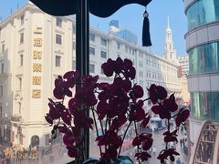 -新雅粤菜馆(南京东路店)