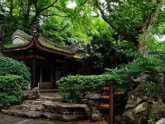 -白沙古井