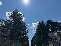 -长春市南湖公园