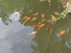 -孔氏南宗家庙
