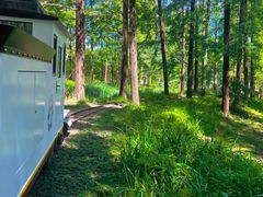 -黄海国家森林公园