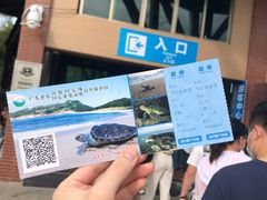 -广东惠东海龟国家级自然保护区